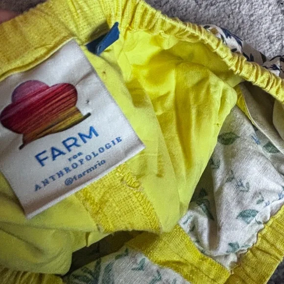Anthropologie x Farm Rio Linen Blend Sunflower Shorts size: small - Picture 4 of 6